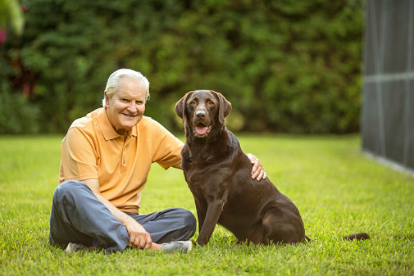 entrenando cuerpo senior 1
